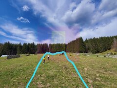 Teren intravilan 2500 mp in Valea Doftanei